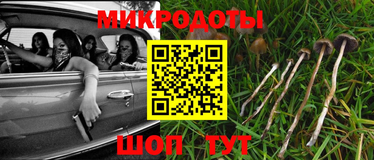 Звенигород  Галлюциногенные грибы мухоморы  Вход с VPN 