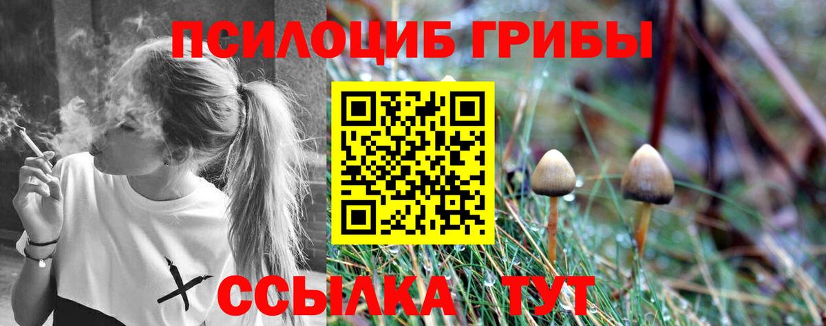 Псилоцибиновые грибы Magic Shrooms Звенигород